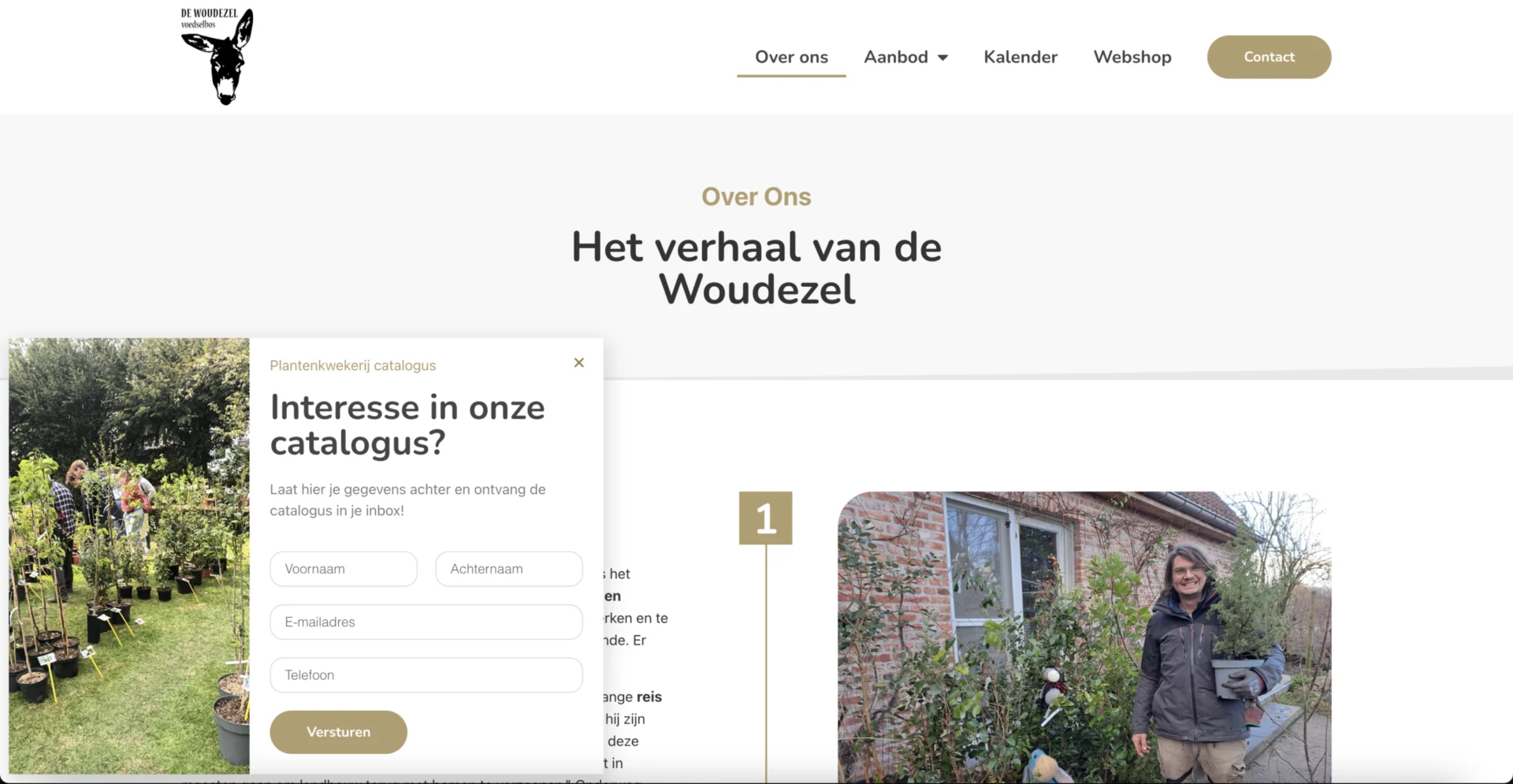 Website marketing pop-up